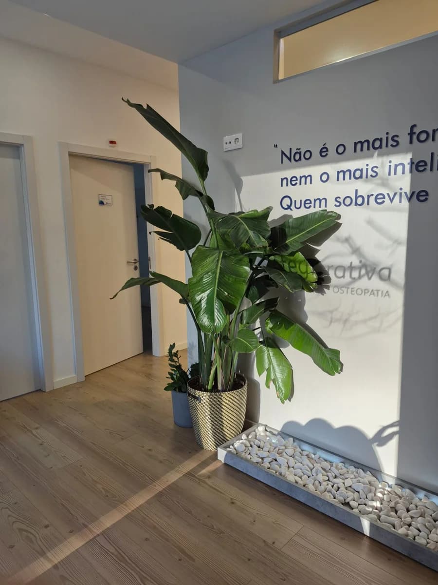 David Brandão – Osteopata e Fisioterapeuta | Belém, Lisboa — Physiotherapeuten em Lissabon — 3