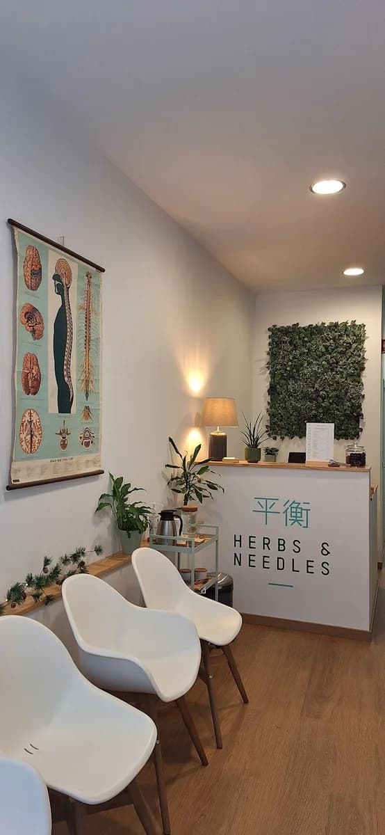 Clínica Herbs & Needles, Medicina Tradicional Chinesa e Osteopatia — Osteopaths em Lisbon — 2